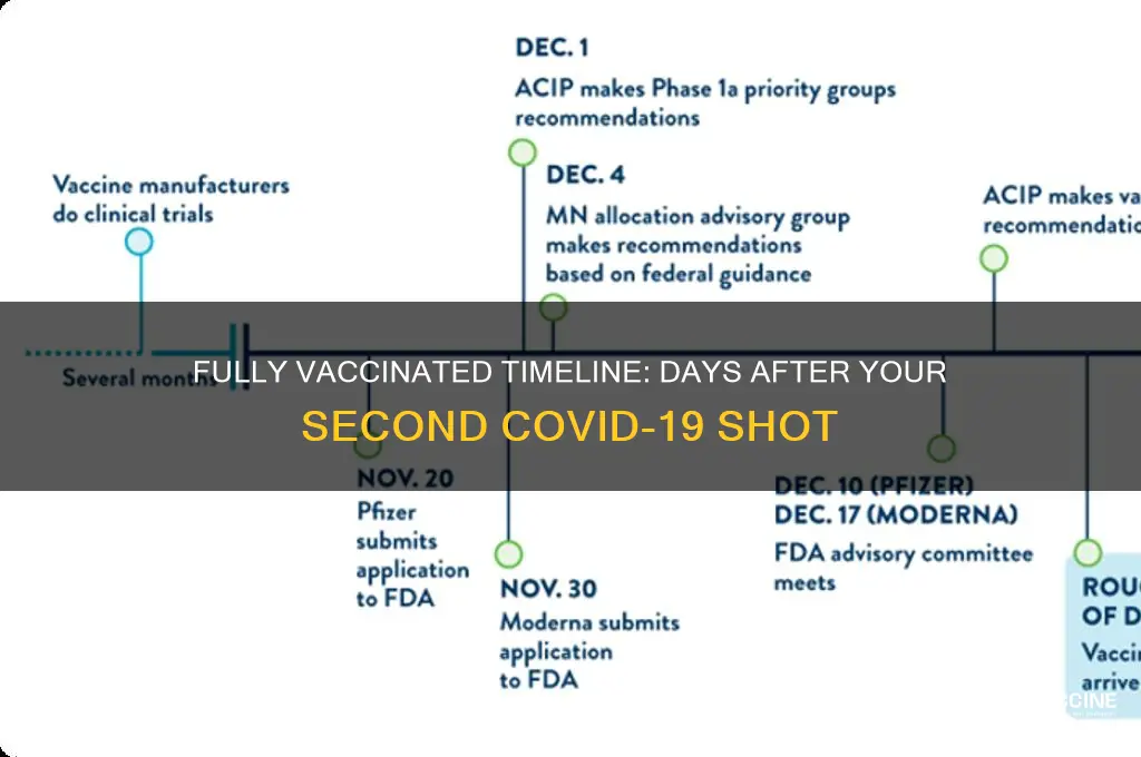 how many days after 2nd shot are you fully vaccinated