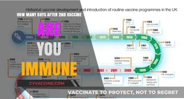 When Does Immunity Kick In After Your Second Vaccine Dose?