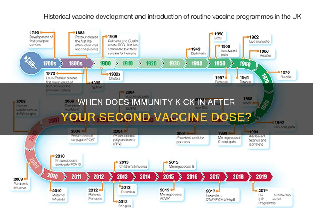 how many days after 2nd vaccine are you immune