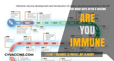 When Does Vaccine Immunity Kick In? Understanding Post-Vaccination Protection