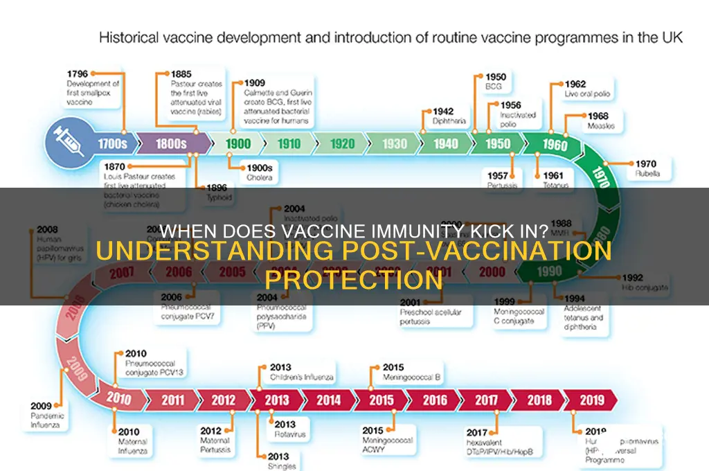 how many days after a vaccine are you immune