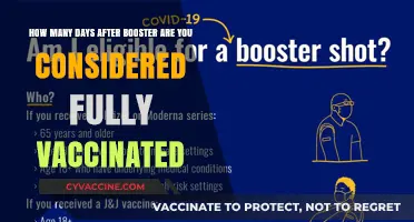 Fully Vaccinated Status: Timing After Your Booster Shot Explained