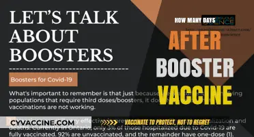 Understanding Post-Booster Vaccine Timing: Days to Expect Full Immunity
