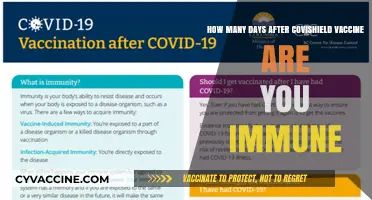 Covishield Vaccine Immunity: Understanding Your Protection Timeline Post-Vaccination