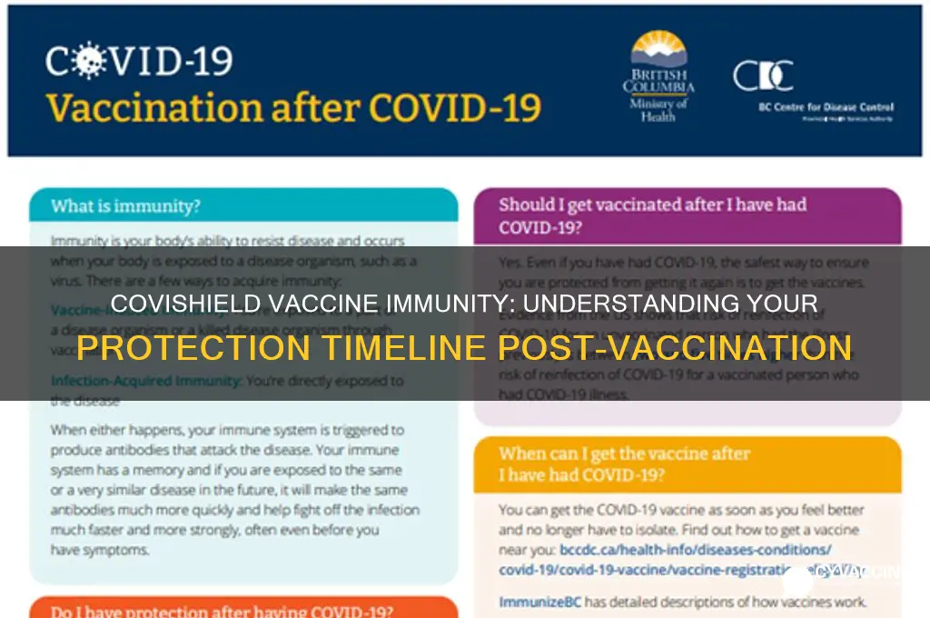how many days after covishield vaccine are you immune