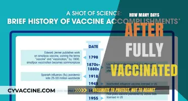 Fully Vaccinated: Understanding the Timeline for Maximum Immunity Post-Vaccination