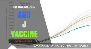 Post-J&J Vaccine: Understanding the Timeline for Side Effects and Immunity