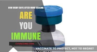 MMR Vaccine Immunity: When Does Protection Kick In Post-Shot?