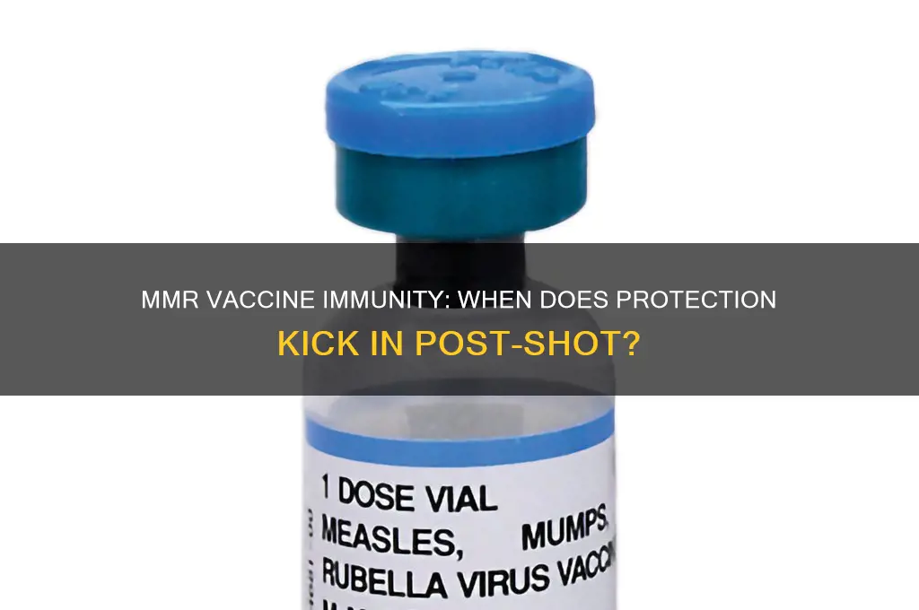 how many days after mmr vaccine are you immune