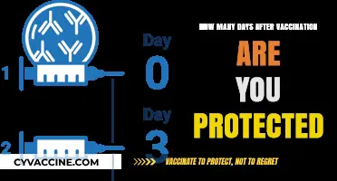 Vaccination Protection Timeline: When Does Immunity Kick In Post-Shot?
