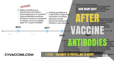 Understanding Antibody Development Timeline Post-Vaccination: Key Insights