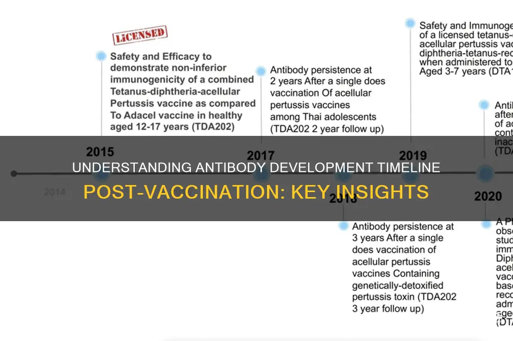 how many days after vaccine antibodies