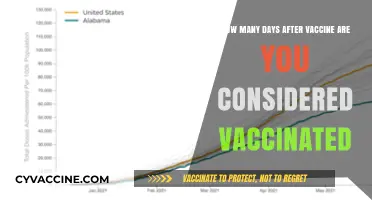 When Are You Fully Vaccinated Post-Shot: A Clear Timeline