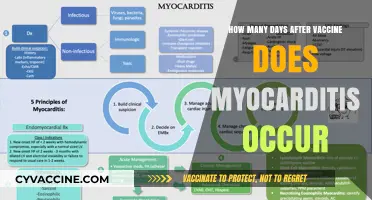 Myocarditis Post-Vaccination: Understanding the Onset Timeline and Risks
