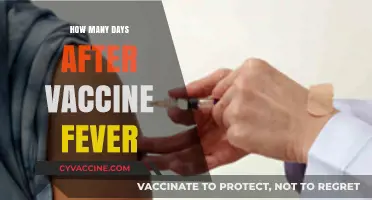 Post-Vaccine Fever: Understanding Duration and Recovery Timeline