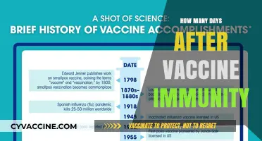 Understanding Post-Vaccination Immunity: How Soon Are You Protected?