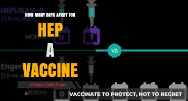 Hepatitis A Vaccine: Optimal Timing for Doses and Protection