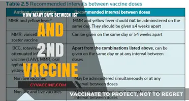 Understanding the Recommended Gap Between Your First and Second Vaccine Doses
