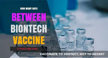 Biontech Vaccine Dosing: Understanding the Days Between Shots