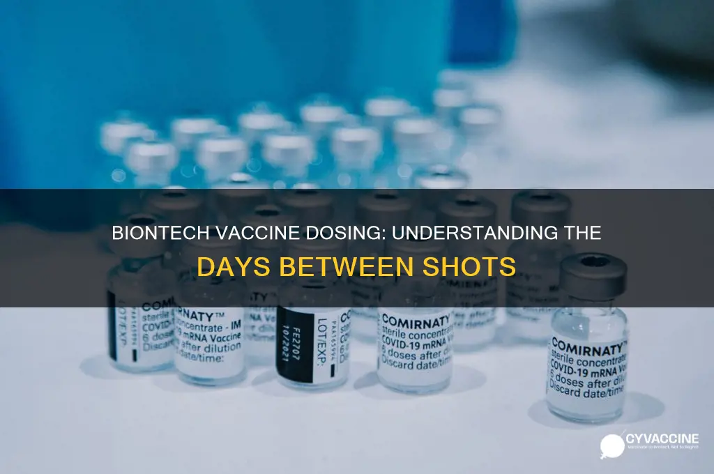 how many days between biontech vaccine