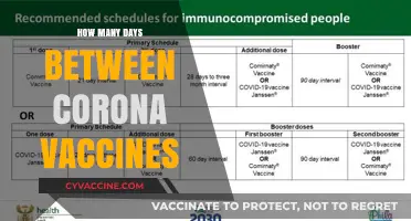 Understanding the Optimal Gap Between Your COVID-19 Vaccine Doses
