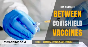 Covishield Vaccine Gap: Understanding the Days Between Doses
