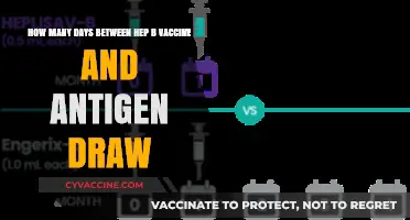 Timing Hep B Vaccine and Antigen Testing: Essential Days to Know