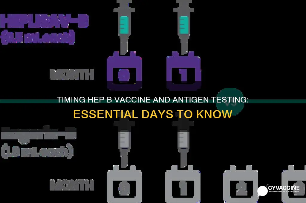 how many days between hep b vaccine and antigen draw