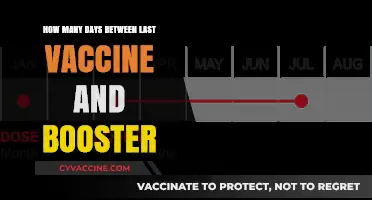 Timing Your Booster Shot: Days After Last Vaccine Explained