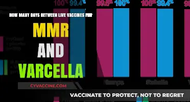 Timing Live Vaccines: MMR and Varicella Scheduling Guidelines Explained