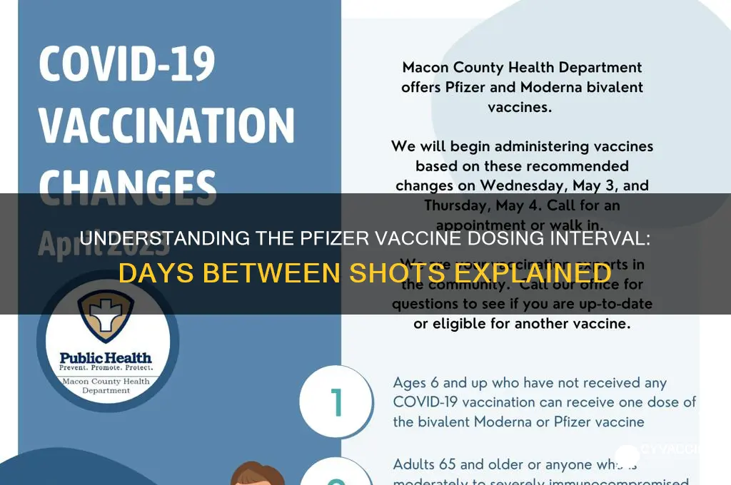 how many days between phizer vaccine