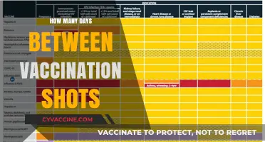 Understanding the Optimal Time Gap Between Your Vaccination Shots