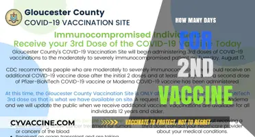 When to Schedule Your Second COVID-19 Vaccine Dose: Timing Explained
