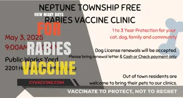 Rabies Vaccine Schedule: Understanding the Timing for Effective Protection