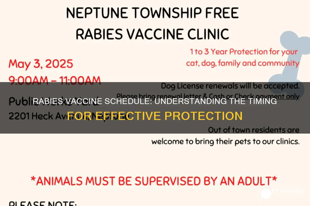 how many days for rabies vaccine