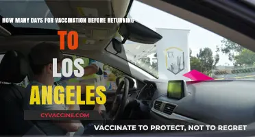 Returning to LA? Vaccination Timeline for Safe Travel to Los Angeles