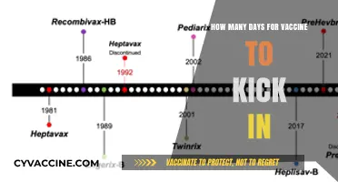 Understanding Vaccine Effectiveness: How Long Until Immunity Kicks In?