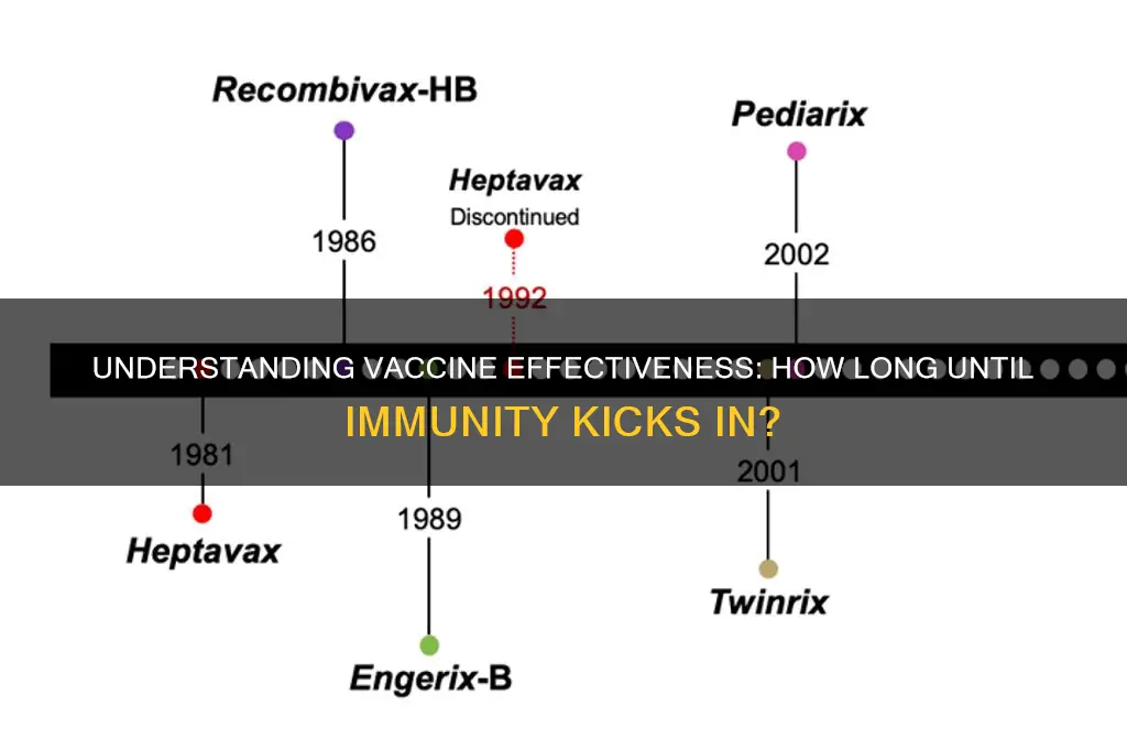 how many days for vaccine to kick in