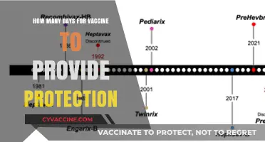 Understanding Vaccine Protection: How Long Until Immunity Takes Effect?