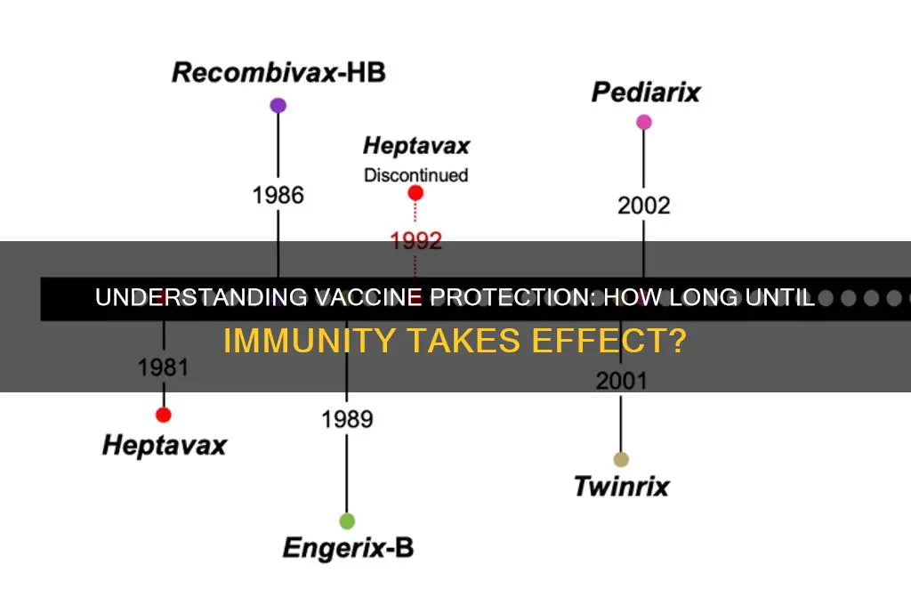 how many days for vaccine to provide protection