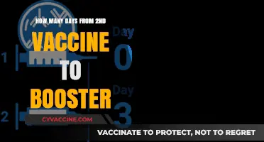 Vaccine Booster Timeline: Days After Second Dose Explained