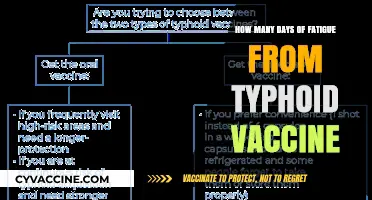 Typhoid Vaccine Fatigue: Understanding Duration and Recovery Days