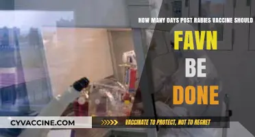 Post-Rabies Vaccine: Optimal Timing for FAVN Testing Explained