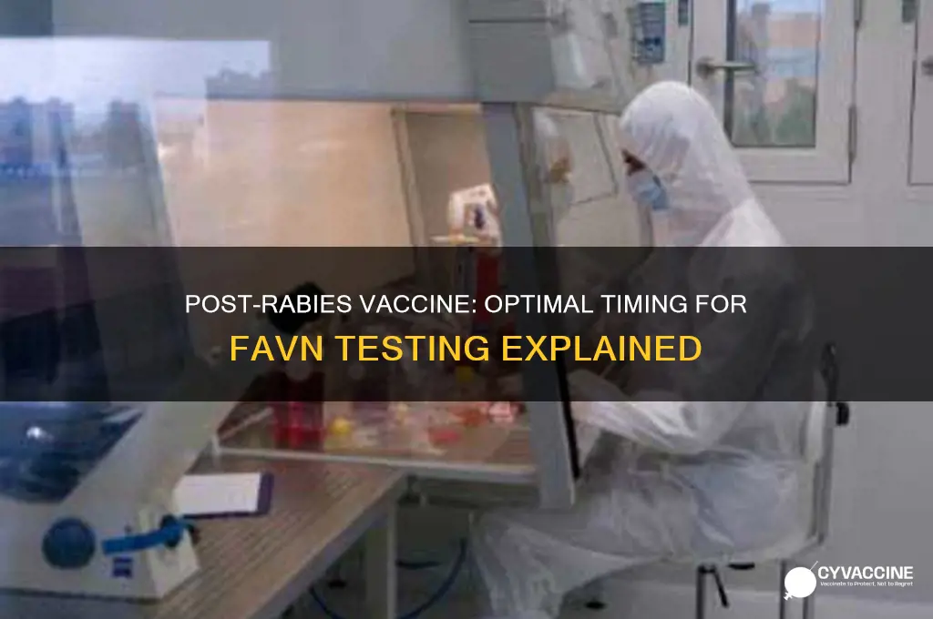 how many days post rabies vaccine should favn be done
