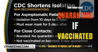 Vaccinated Quarantine Guidelines: Understanding Days Required After Exposure
