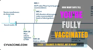 Fully Vaccinated Timeline: Understanding Your COVID-19 Immunity Journey