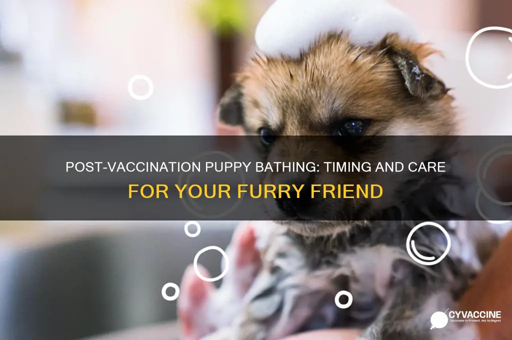 how many days to bathe a puppy after vaccination