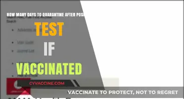 Vaccinated and Positive: Understanding Your Quarantine Duration After Testing Positive