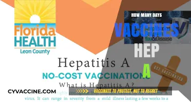 Understanding Hepatitis A Vaccine Duration: How Long Does Protection Last?