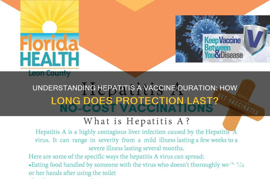 how many days vaccines hep a